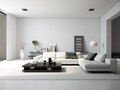 Modern White And Black Living Room
